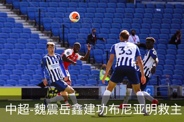 中超-魏震岳鑫建功布尼亚明救主 玉昆4分钟连扳两球2-2海港