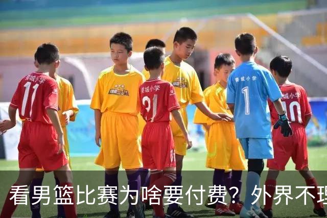 看男篮比赛为啥要付费？外界不理解，媒体人给答案：不是篮协搞的